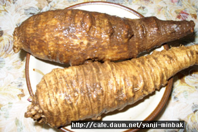 원룸민박 이미지